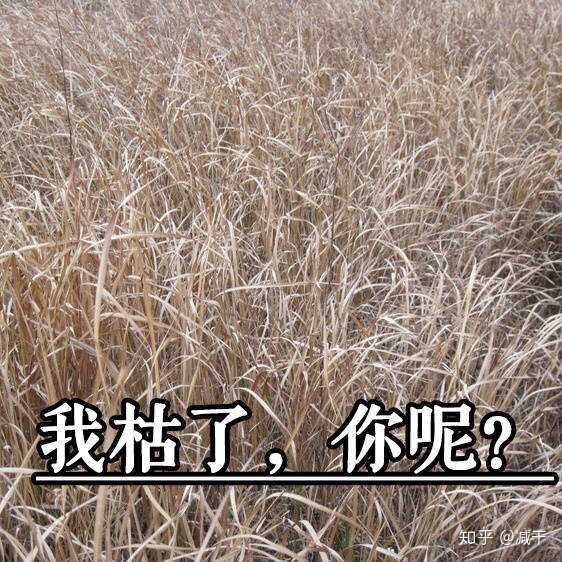 无法呼吸活活憋死是一种什么样的感受?