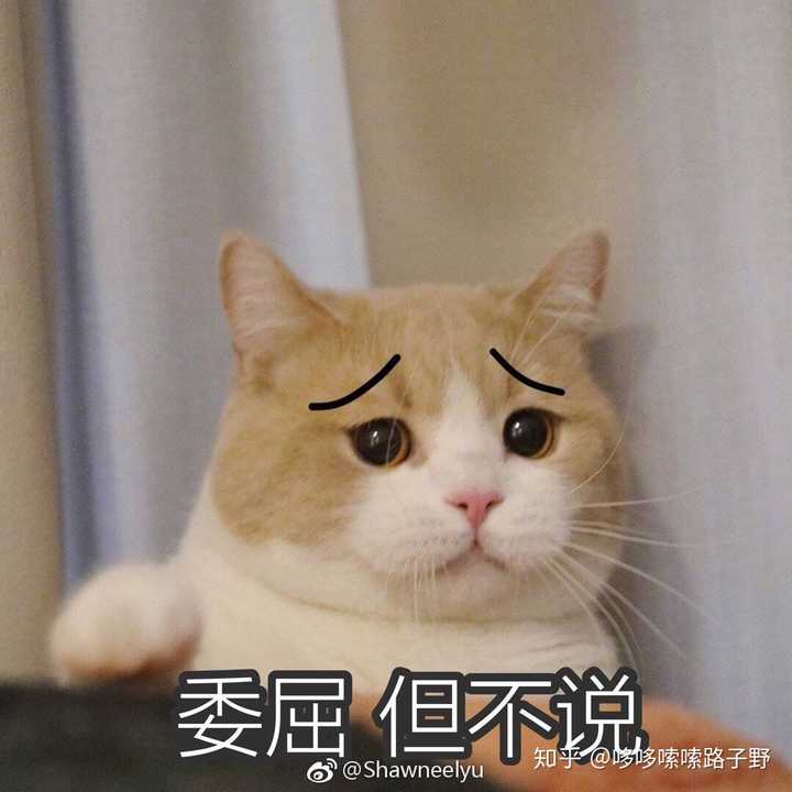 被男朋友嫌弃是怎样的一种心情?