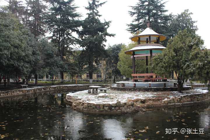 在武汉理工大学余家头校区读书是种什么样的体验?