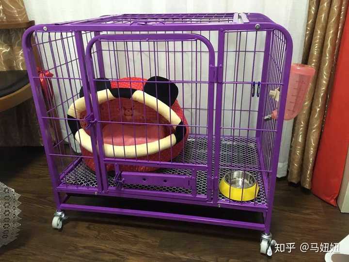 大家白天上班是怎么放狗笼子的?
