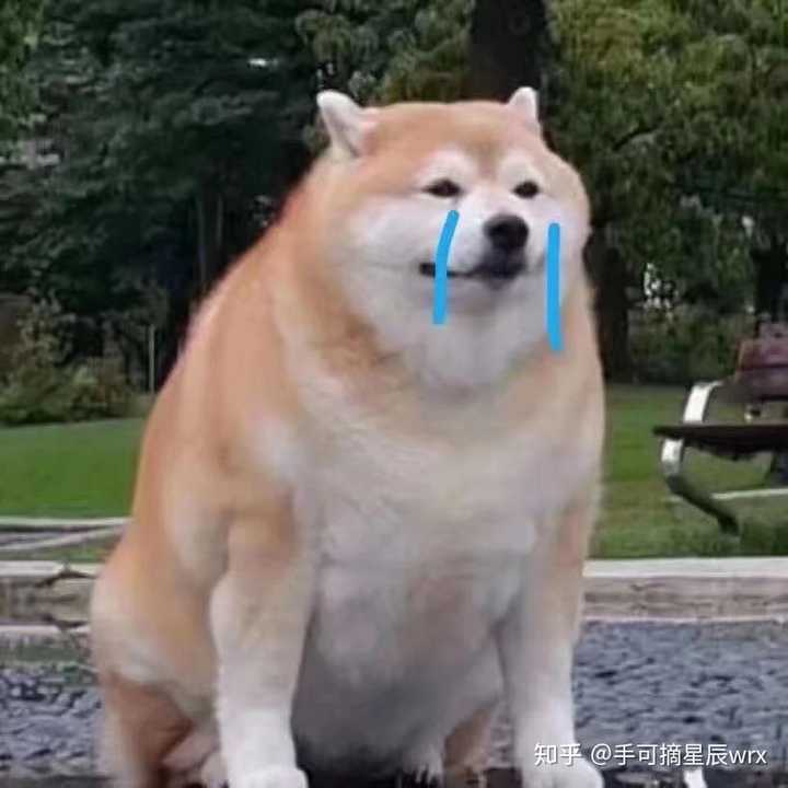 真差劲啊