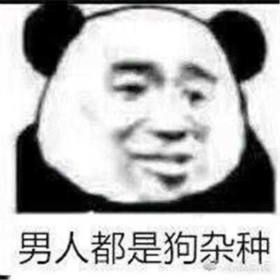 有文笔好的女频修真推荐吗