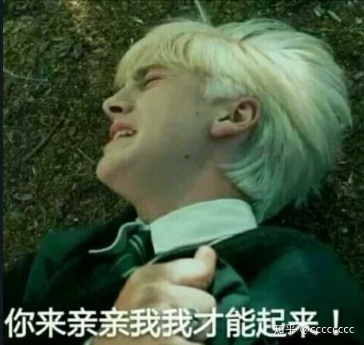 请问,为什么磕德拉科马尔福和哈利波特的cp的人普遍磕