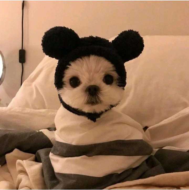 有没有什么惊艳的微信头像?