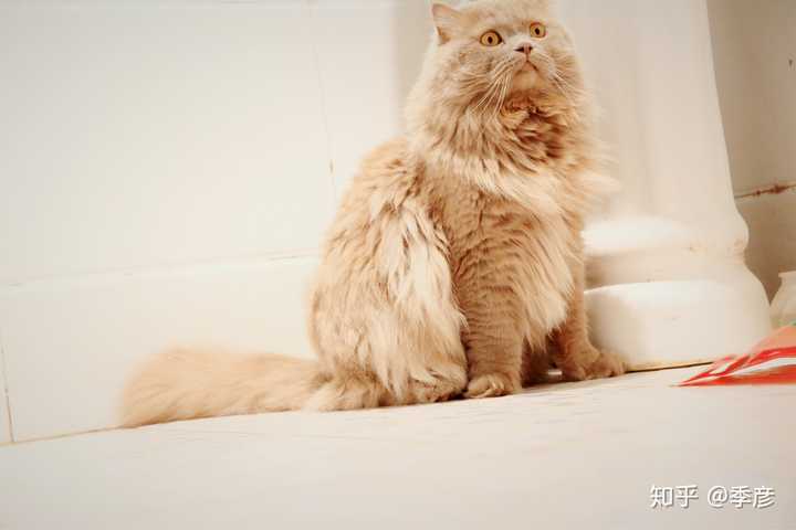 体验就是,以前举高高很容易,现在越来越难了.