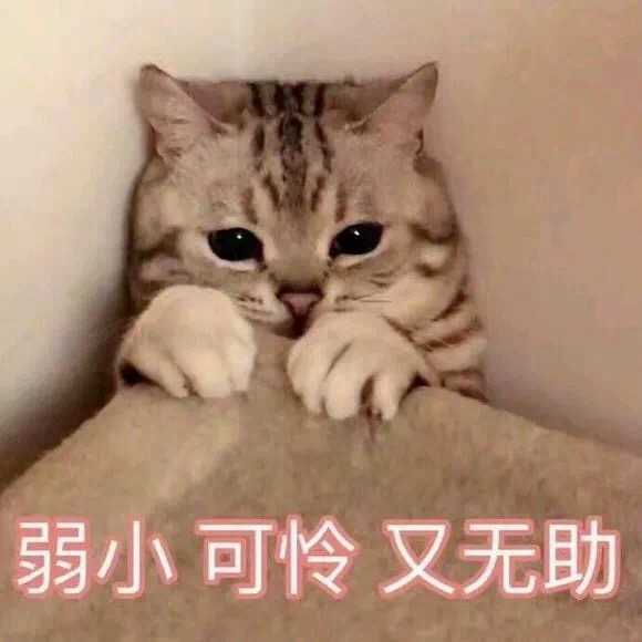 呼～～～～～好累啊 这大概是我表情包里动物的
