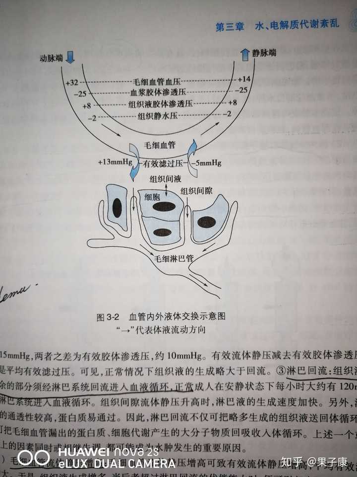 血浆渗透压
