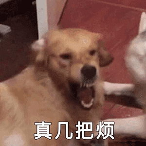 有哪些沙雕表情包?