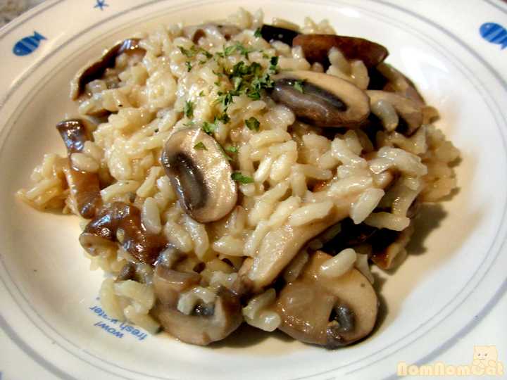 risotto ai funghi 奶油蘑菇烩饭