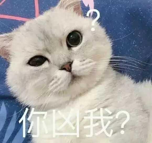 有没有可以给男朋友发的可爱表情包鸭?