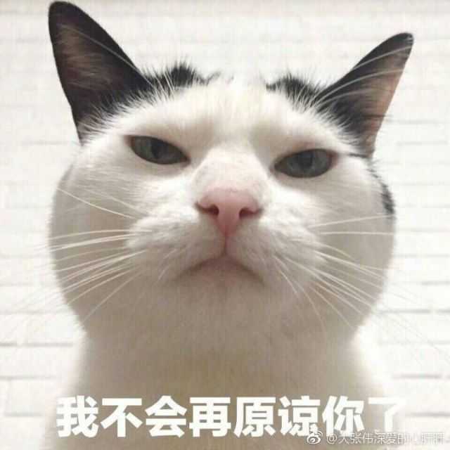 我没猫,如果有猫绝对不会存这么多别人家的猫 还有很多就不发了