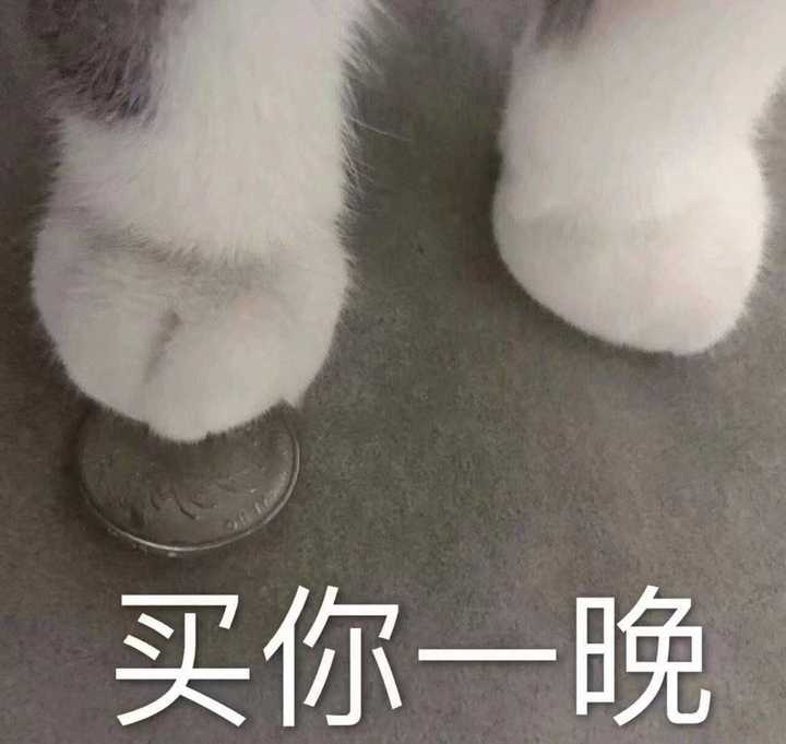 来自最右 暂住知乎 以后也不打算走了 流量上传那些说喜欢我的表情包