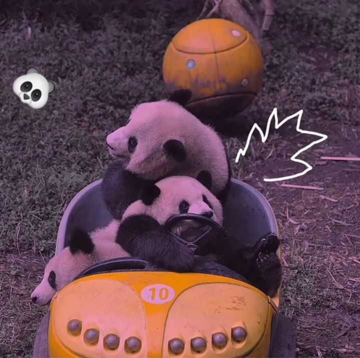 哪位大佬有好看的懒洋洋头像(ω)?