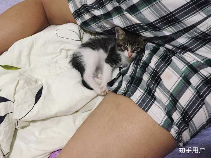 睡在我的男朋友旁边,还一脸冷漠的看着我?