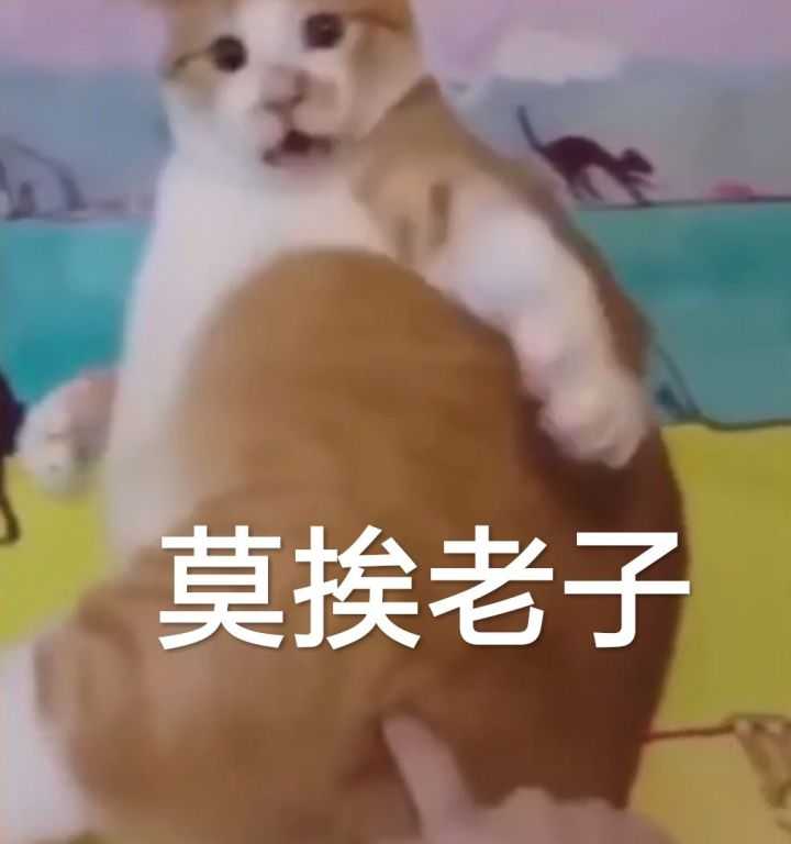 有没有适合客服的表情包?