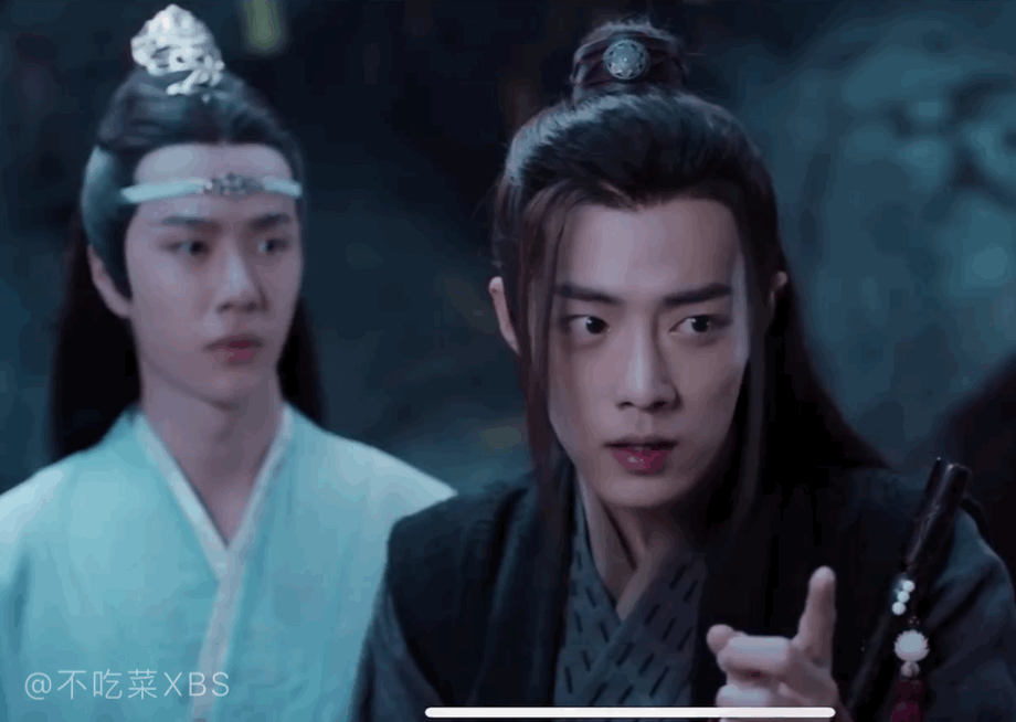 原著粉们怎么看待陈情令