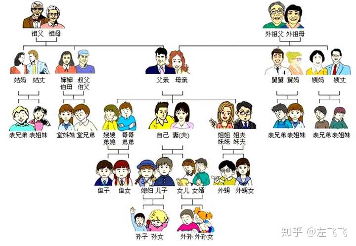 1,家庭成员结构图 a家庭的财富传承并不仅仅与a和三个子女相关,还