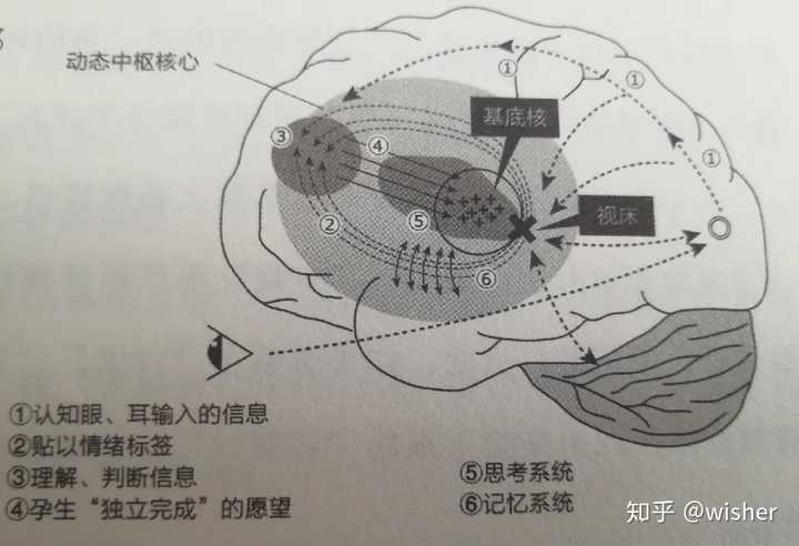 如何更好的提升专注力?