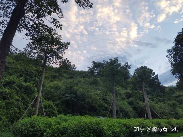 在广西中医药大学就读是怎么样的体验?