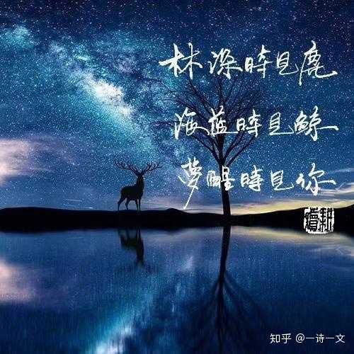 我为你写诗