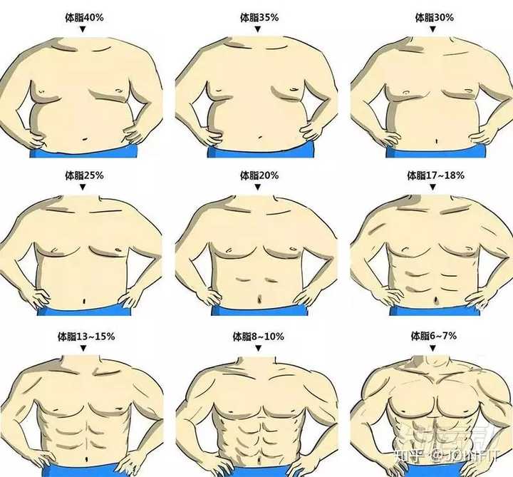 女生160 124斤肌肉含量达标,如何快速减重,平时在健身