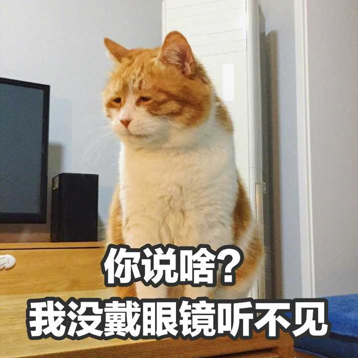 人可以没有自知之明到什么程度?