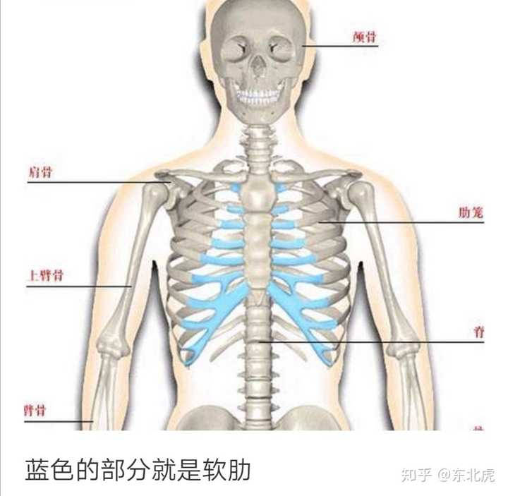 麻烦匿名说一下你的软肋在哪里?