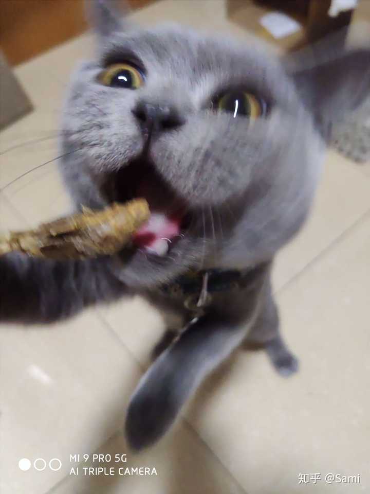 特别馋
