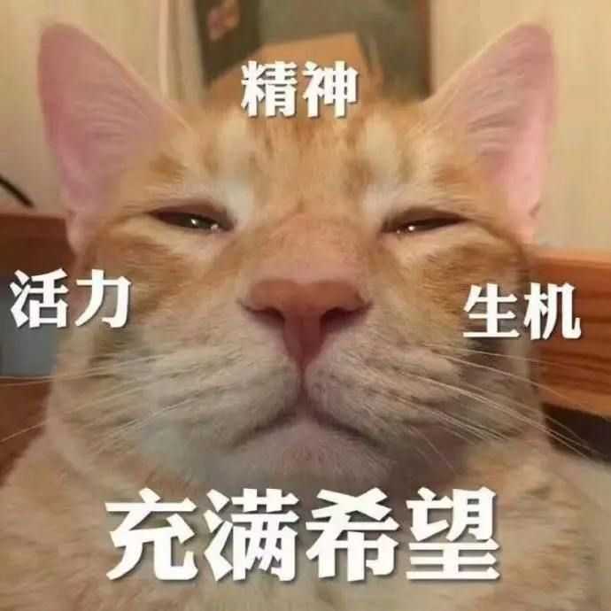 请问各位有没有类似这样丧丧的图或者表情包呀?