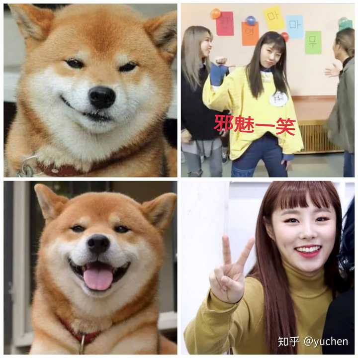 韩国kpop有哪些猫系长相和狗系长相的idol?