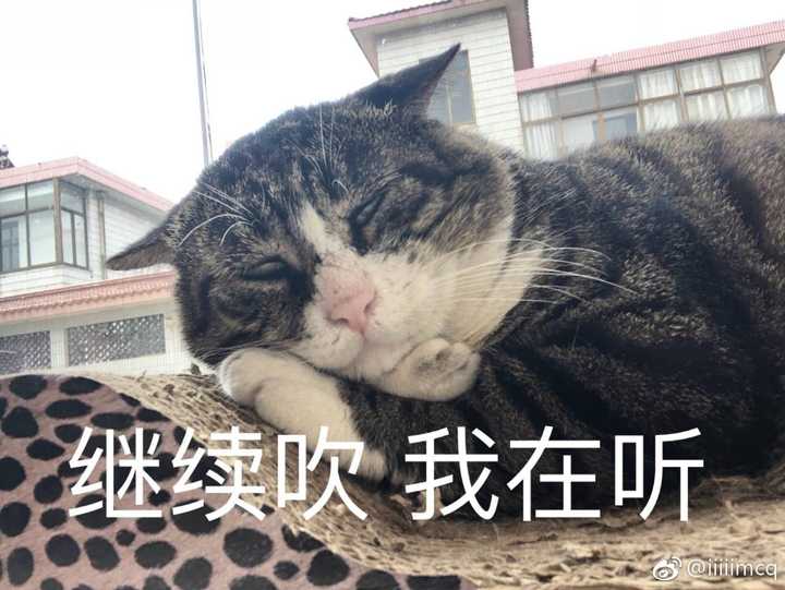 (阿肥太可爱啦小声bb