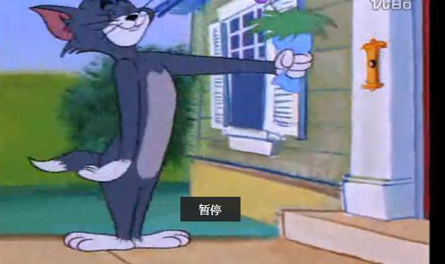 到了母猫门前,汤姆骄傲地献出了自己的花