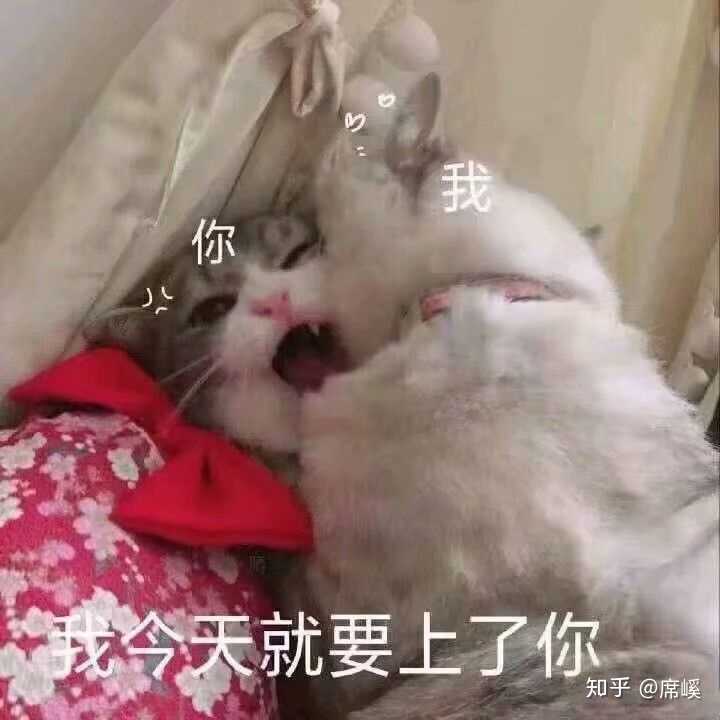 你有什么压箱底的表情包?