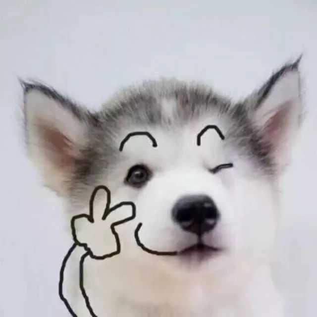 把图片缩小了一定比例,正好是微信头像大小,适合小仙女们选择观看呀