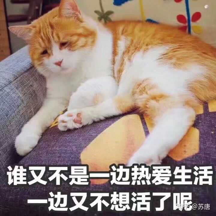 一直觉得生活没意思怎么办?
