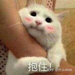 撩我家狗子的不知不觉间存了好多图,(小套路中参杂些许去幼儿园的车