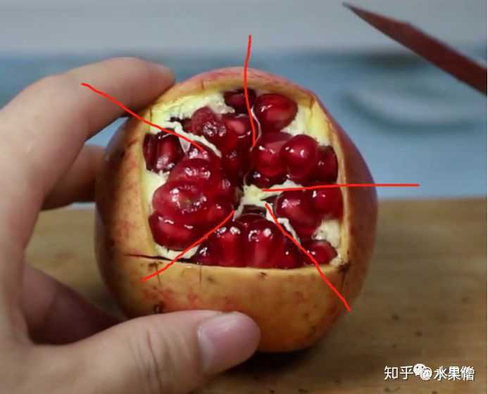 沿着石榴内部白线(石榴内部籽就是通过这个白线分割开的) 划开果皮(不