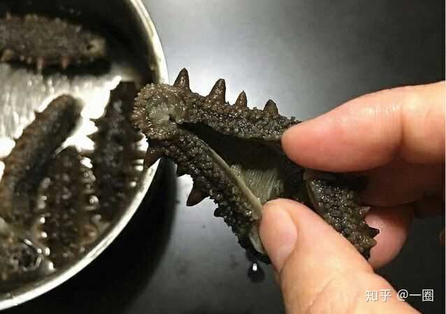如何发海参?