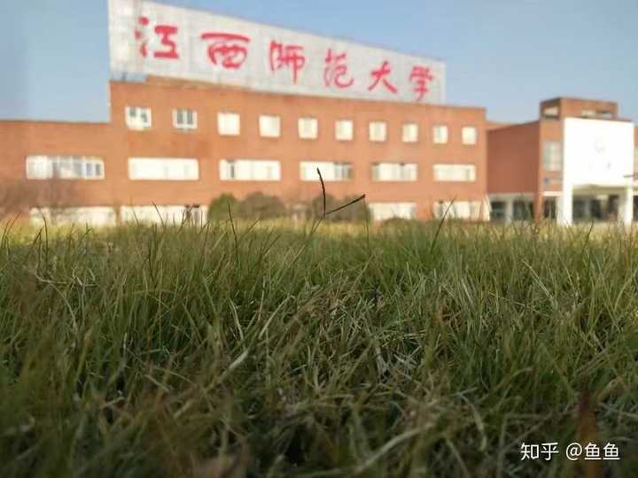 江西师范大学的校园环境如何 知乎