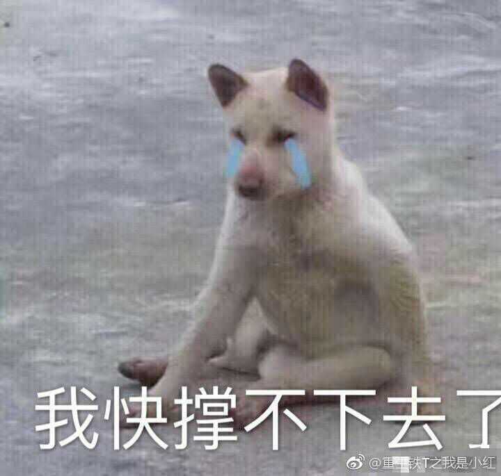 你的专业有哪些经典自嘲?
