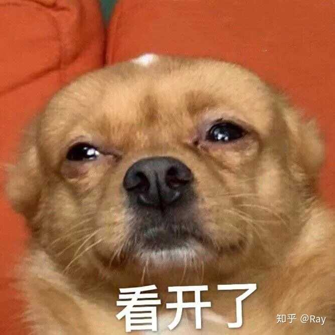 有什么可以看一眼就笑出声的表情包