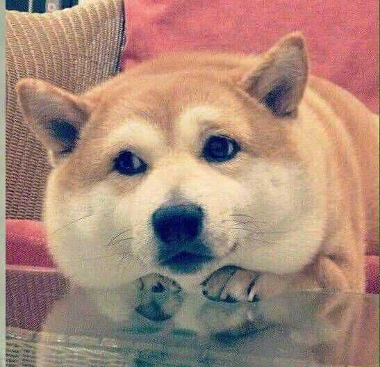 微信头像会影响第一印象吗?