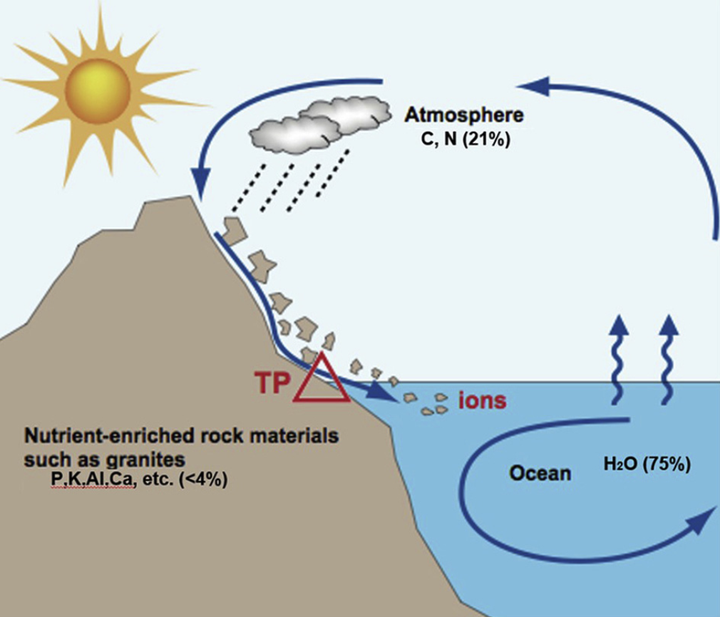 如果地球没有陆地海洋生物可能掌握科技吗