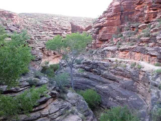 kaibab 从南缘千回百转的之字形山路到北缘悬崖峭壁上的羊肠小道,一路