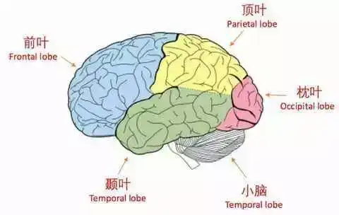 我们对自己的明年,或者五年没有规划,其实也是浪费了人类的大脑功能