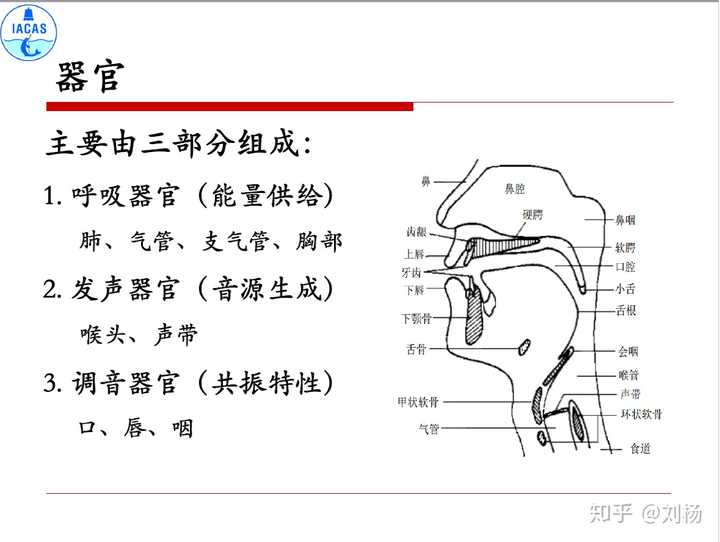 人的声音是怎么发出的发声机理是什么