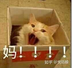 怎么高端优雅向爸妈要钱?