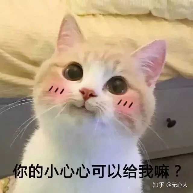 有哪些可爱到哭泣的猫咪图片或者表情包?