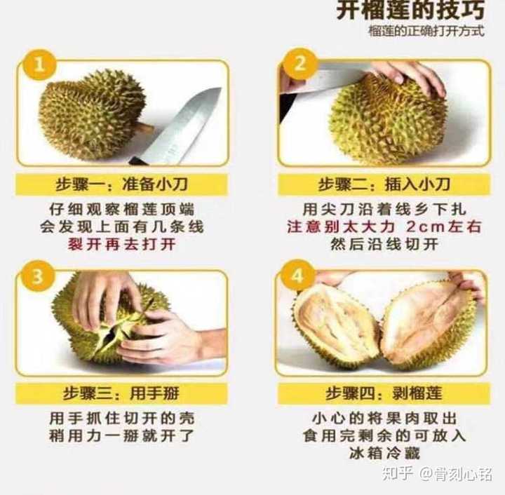 买榴莲需要注意什么?怎么判断榴莲品质以及生熟?怎么轻松打开榴莲?