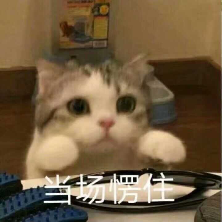 被室友称为表情包大佬的我不能再低调了_(:з」∠)_ 可爱的表情当然